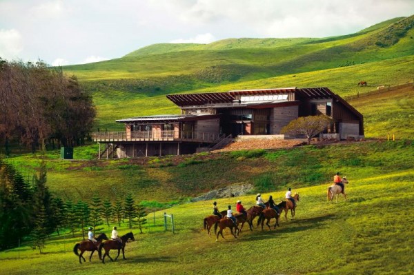 Waimea Big Island Real Esate Waimea Big Island Real Esate