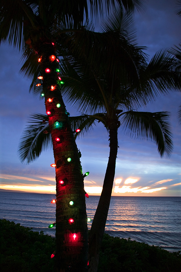 Bargain Value Haiku, Maui High-End Residence Hawaii Life