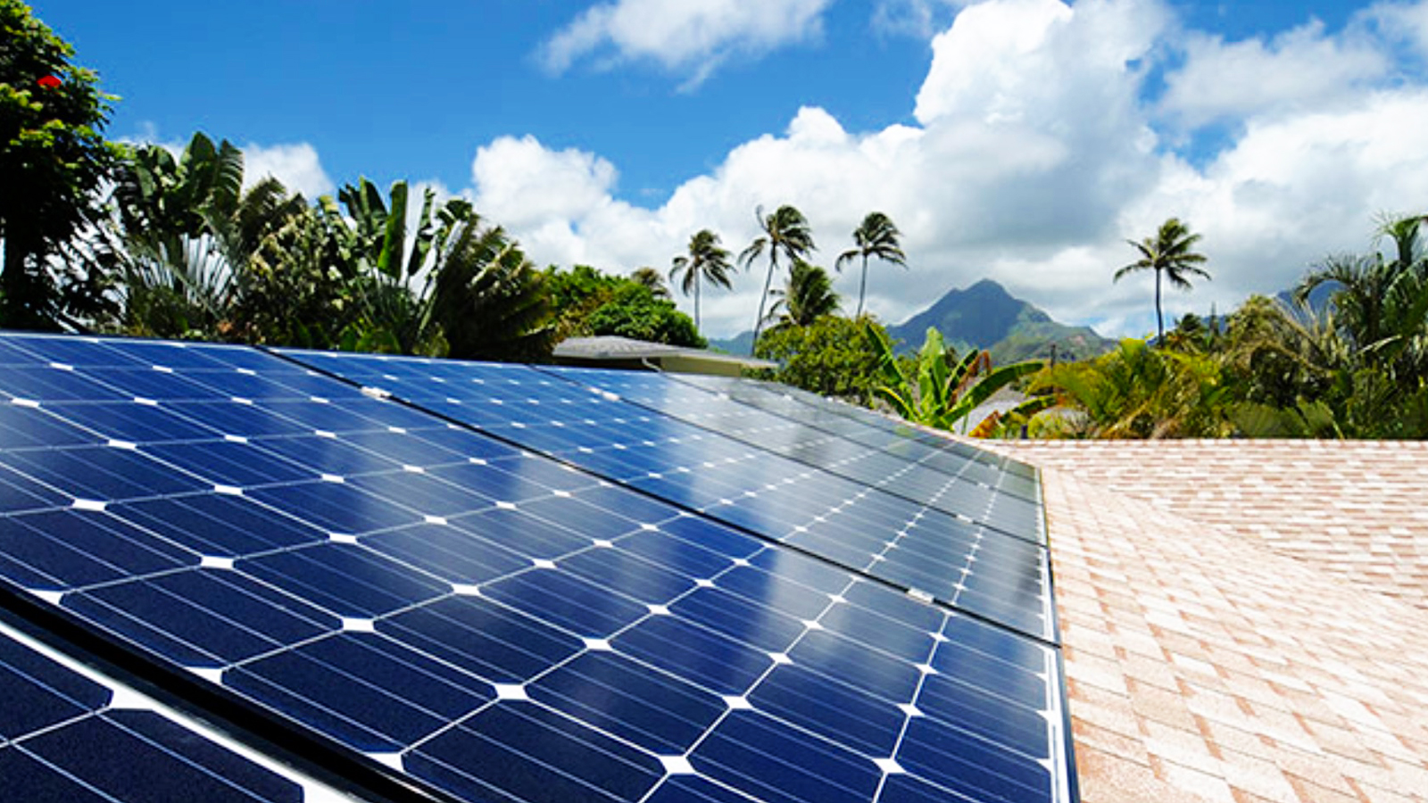 Solar, Tesla, Solar Power, Homes, Sell, Green, Green Energy, Hawaii