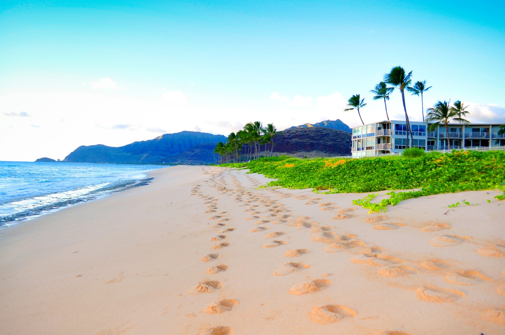 PetFriendly Beachfront Condo with Million Dollar Views in Maili Cove