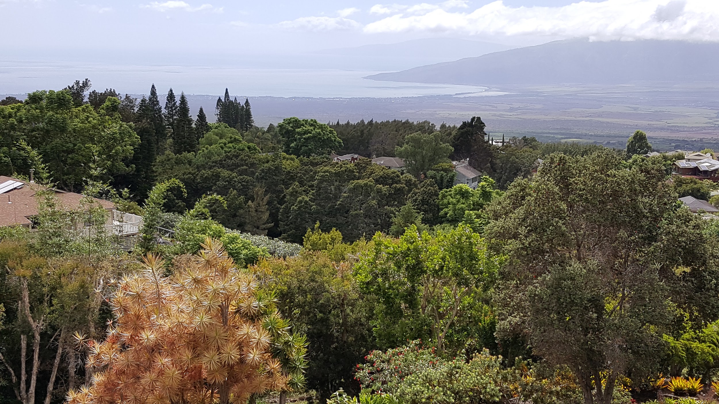 Discover Kula A Quick Guide to Popular Points of Interest Hawaii Life